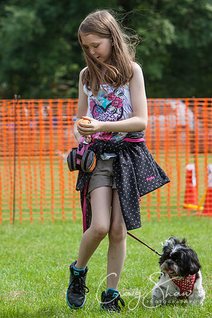 RSPCA Dog Day Afternoon