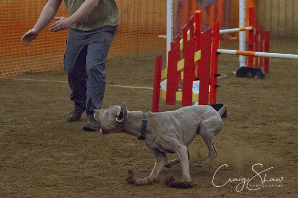 spring fling 2012-2351