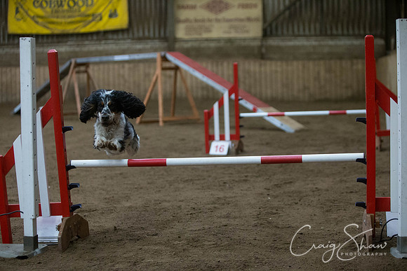 1524_springfling2015_bluplanetphoto