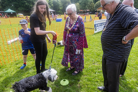 1954_HebdensHappyHounds2024_Cshaw-