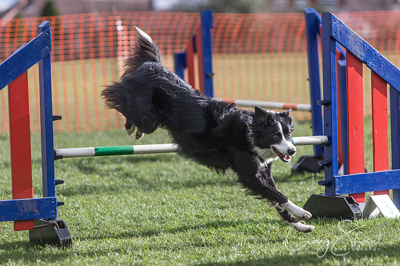 2133__SpringersFunDay_March2014_bluplanetphoto