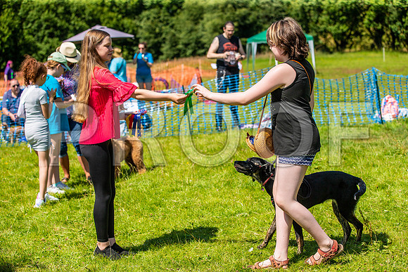 2283__PAWSFundogShow_July2022_cshaw
