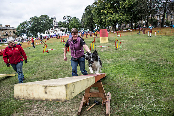 290_BarkintheParkHuddersfield_2014_bluplanetphoto