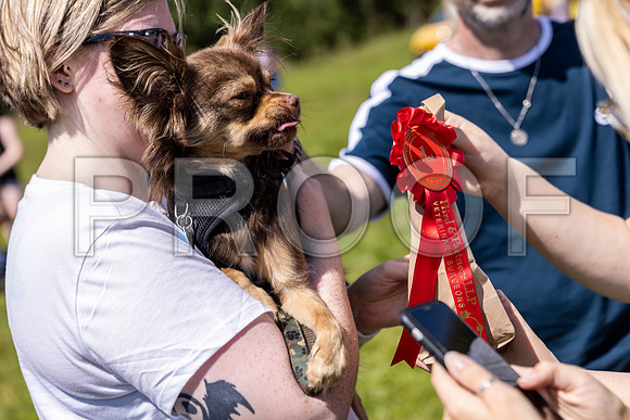 2158__PAWSFundogShow_July2022_cshaw