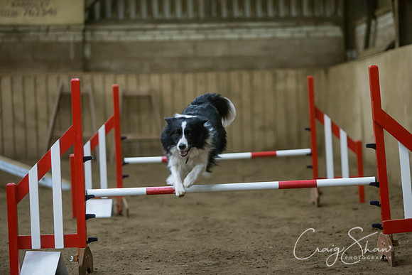 2672_springfling2015_bluplanetphoto