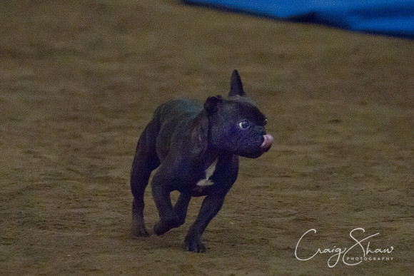 spring fling 2012-510
