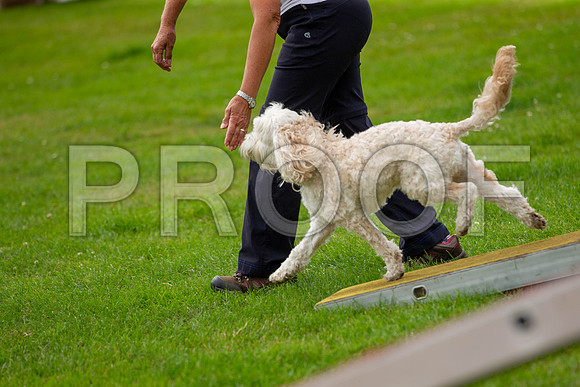 1052_SpringersFunDay2019_craigshawphoto