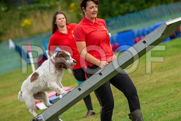 0610_SpringersFunDay2019_craigshawphoto