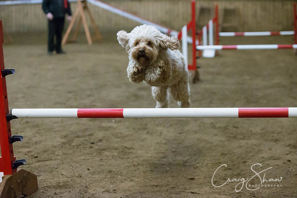 2580_springfling2015_bluplanetphoto