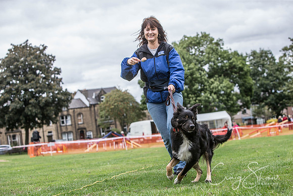 1837_BarkintheParkHuddersfield_2014_bluplanetphoto