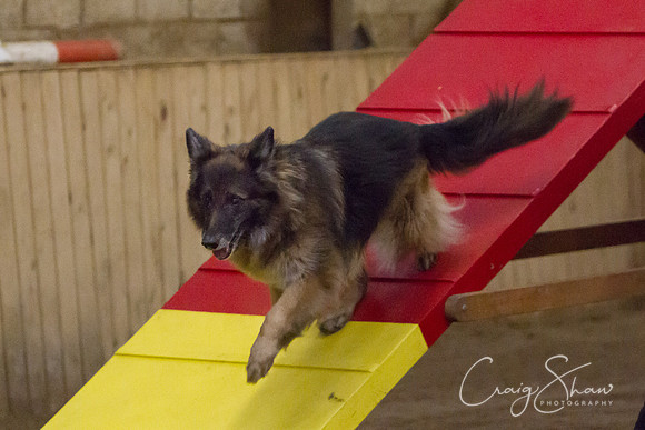 spring fling 2012-384