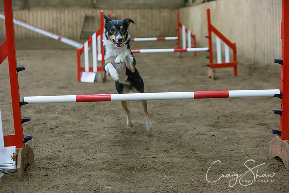 2503_springfling2015_bluplanetphoto