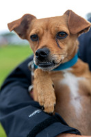 0019_SpringersFunDay2019_craigshawphoto