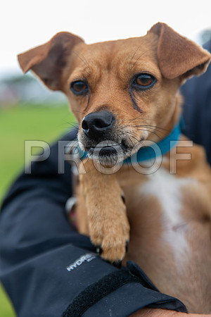0019_SpringersFunDay2019_craigshawphoto