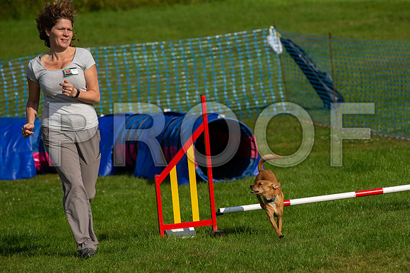 0128_SpringersFunDay2019_craigshawphoto