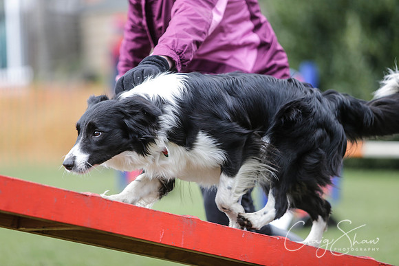251__SpringersFunDay_March2014_bluplanetphoto