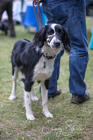 177_BarkintheParkHuddersfield_2014_bluplanetphoto
