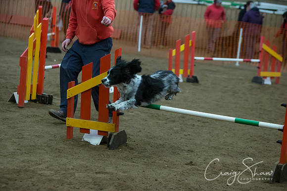 2634_springfling2015_bluplanetphoto