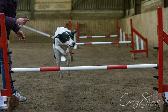 2569_springfling2015_bluplanetphoto