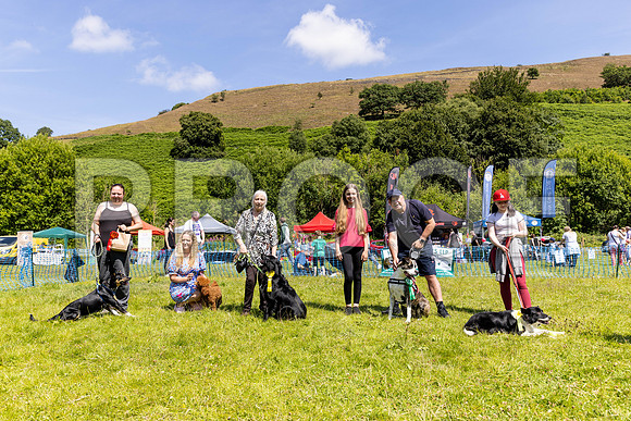 2023__PAWSFundogShow_July2022_cshaw