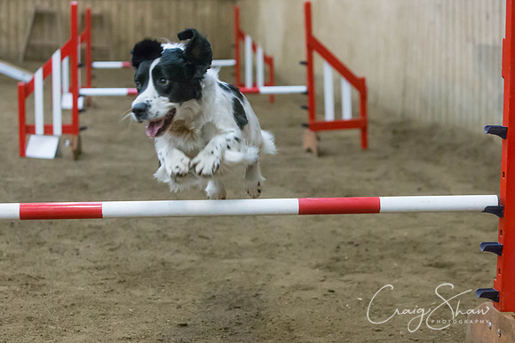 2529_springfling2015_bluplanetphoto