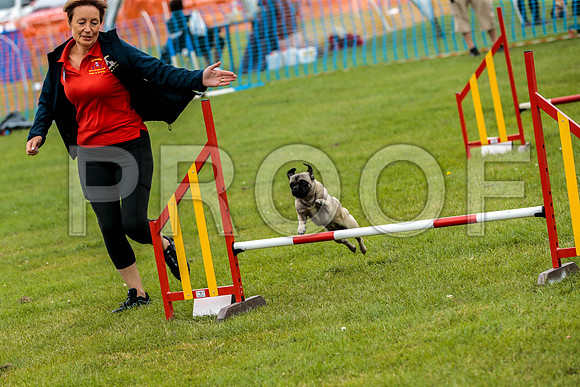 2595_SpringersFunDay2019_craigshawphoto