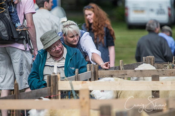 131_TodAgriculturalShow2014__bluplanetphoto