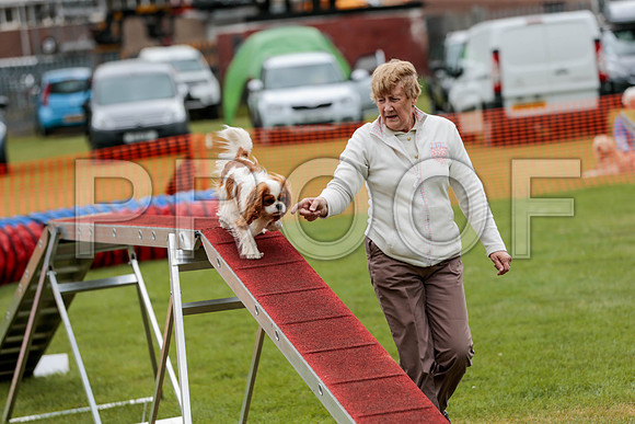 2692_SpringersFunDay2019_craigshawphoto