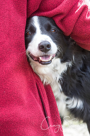 62__SpringersFunDay_March2014_bluplanetphoto