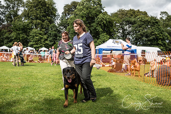 1580_K9Partyinthepark2014_RSPCAHalifax_bluplanetphoto