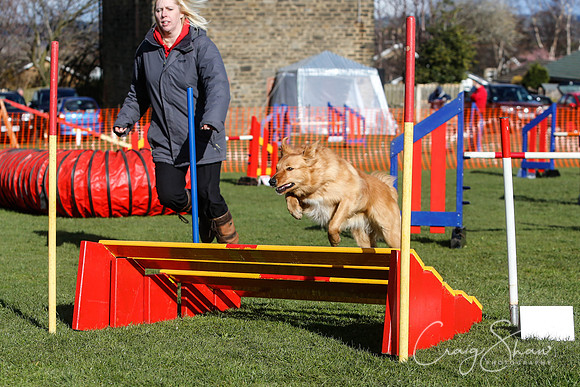 1855__SpringersFunDay_March2014_bluplanetphoto