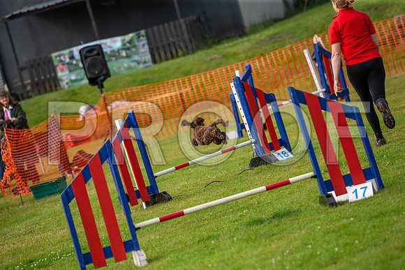 0733_SpringersFunDay2019_craigshawphoto