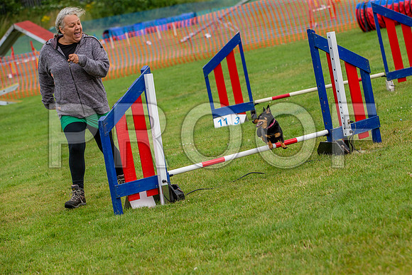 0275_SpringersFunDay2019_craigshawphoto
