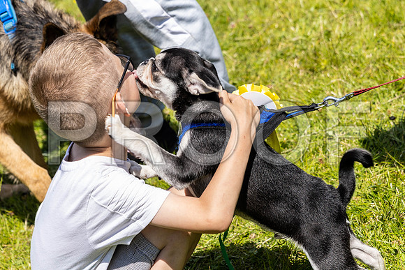 2126__PAWSFundogShow_July2022_cshaw