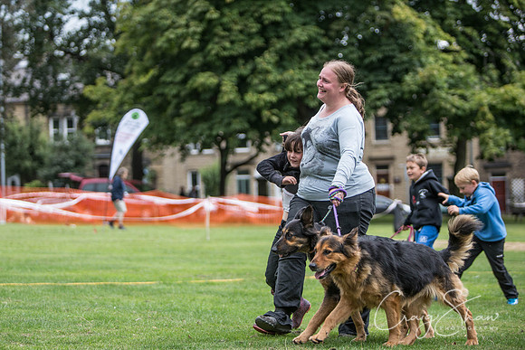 2084_BarkintheParkHuddersfield_2014_bluplanetphoto