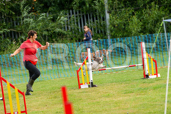 0618_SpringersFunDay2019_craigshawphoto