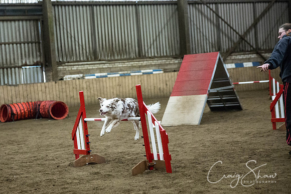 1283_springfling2015_bluplanetphoto