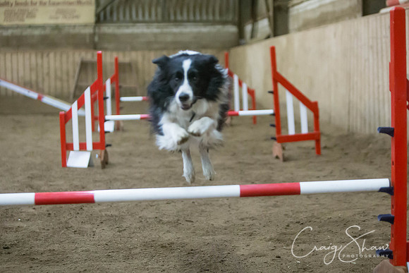 2626_springfling2015_bluplanetphoto