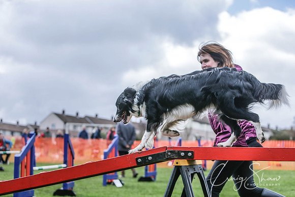 261__SpringersFunDay_March2014_bluplanetphoto
