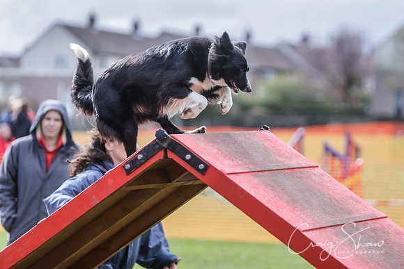 191__SpringersFunDay_March2014_bluplanetphoto