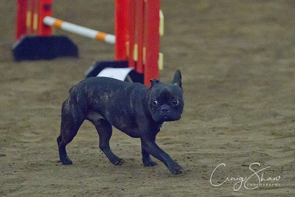 spring fling 2012-520