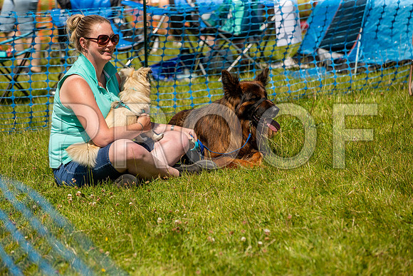 2008__PAWSFundogShow_July2022_cshaw
