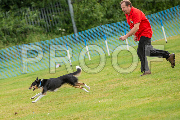 0513_SpringersFunDay2019_craigshawphoto