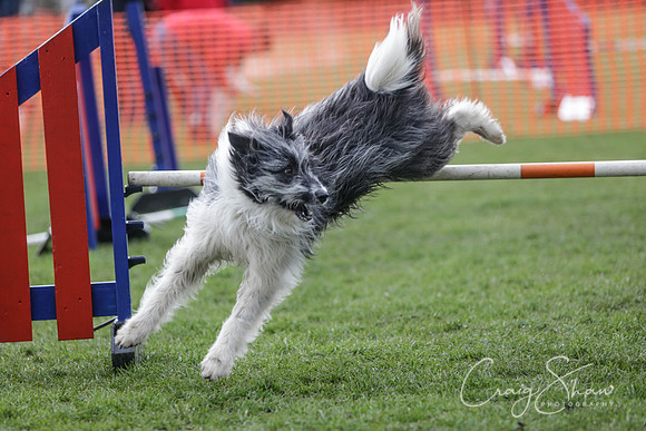 485__SpringersFunDay_March2014_bluplanetphoto