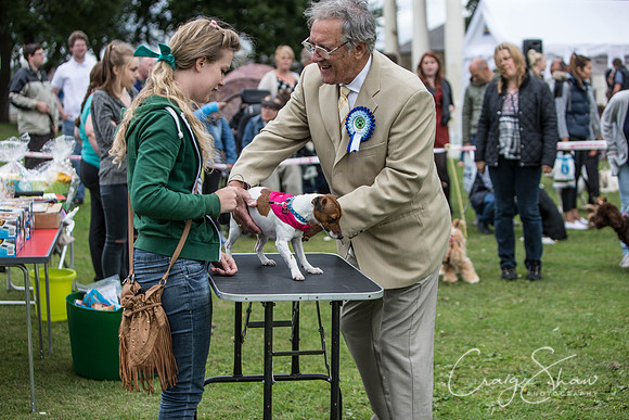 403_BarkintheParkHuddersfield_2014_bluplanetphoto