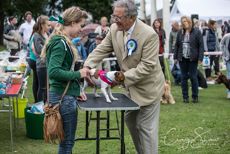 403_BarkintheParkHuddersfield_2014_bluplanetphoto