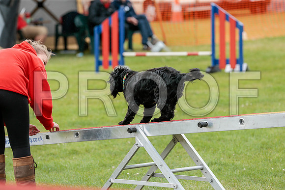 2724_SpringersFunDay2019_craigshawphoto