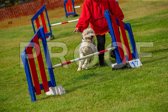 1439_SpringersFunDay2019_craigshawphoto