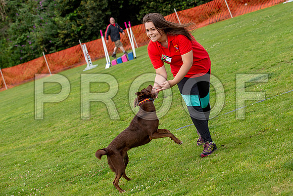 1856_SpringersFunDay2019_craigshawphoto