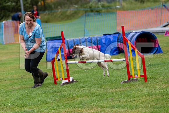 2410_SpringersFunDay2019_craigshawphoto